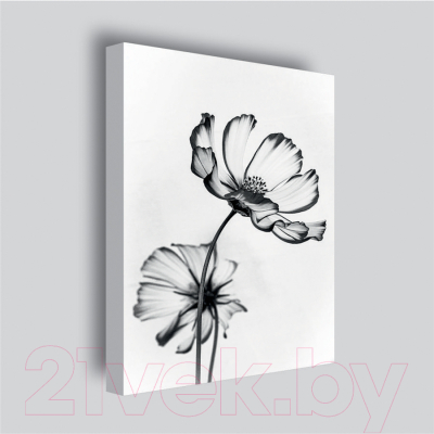 Картина Stamprint Черные цветы 2 TR015 (45x35см)