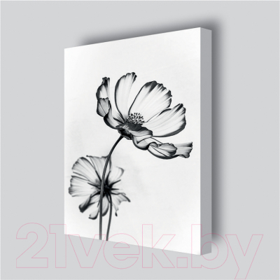 Картина Stamprint Черные цветы 2 TR015 (45x35см)