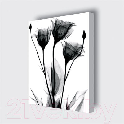 Картина Stamprint Черные цветы 1 TR016 (45x35см)