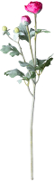 Искусственный цветок Lefard Ранункулюс / 287-516 - 