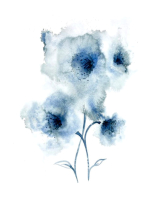 Картина Stamprint Синие цветы 2 TR021 (45x35см) - 