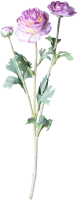 Искусственный цветок Lefard Ранункулюс / 287-535 - 
