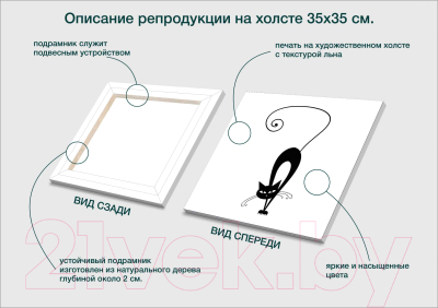 Картина Stamprint Кот 4 TR008 (35x35см)