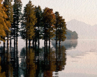 Картина Stamprint Деревья в воде АT039 (80x100см) - 