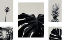Картины Stamprint Черно-белое CS003 SET5 (90x140см) - 