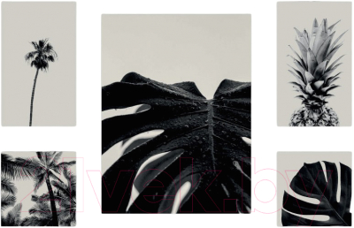 Картины Stamprint Черно-белое CS003 SET5 (90x140см)