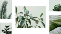 Картины Stamprint Зеленное растение CS002 SET5 (90x160см) - 