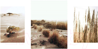Картины Stamprint Песочные руиные CS006 SET3 (80x160см)