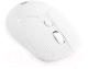 Миниатюра изображения товара Мышь Оклик 509MW (белый)
