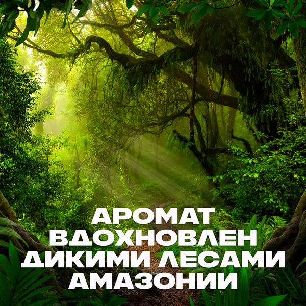 Дезодорант-спрей Axe Сила джунглей (150мл)