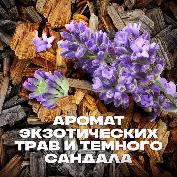 Дезодорант-спрей Axe Сила джунглей (150мл)