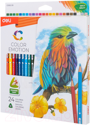 Набор цветных карандашей Deli Color Emotion / EC00220 (24цв)