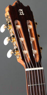 Акустическая гитара Alhambra Iberia Ziricote