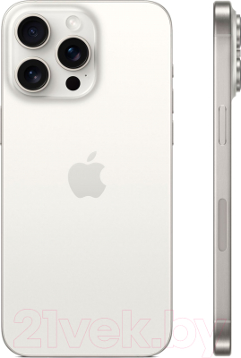Смартфон Apple iPhone 15 Pro Max 256GB Dual Sim / A3108 (белый титан)