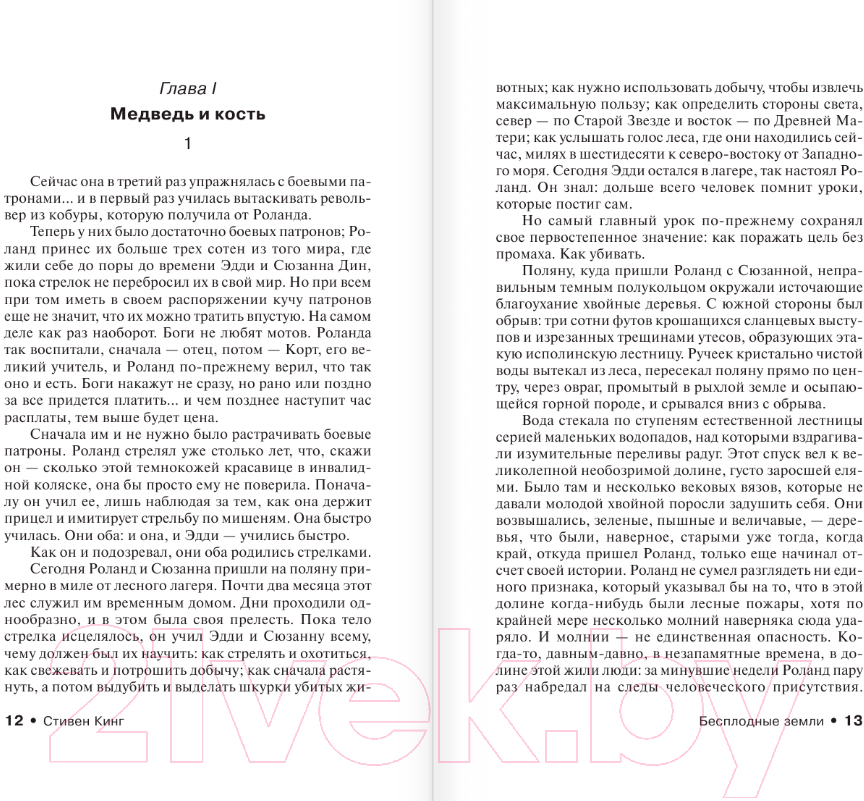 Художественная книга АСТ Бесплодные земли. Эксклюзивная классика / 9785171599348 (Кинг С.) — фото 6