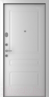 Входная дверь Belwooddoors Модель 10 210x100 левая (графит/роялти эмаль белый)