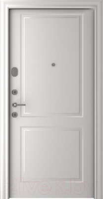 Входная дверь Belwooddoors Модель 8 210x100 левая (графит/Alta эмаль белый)