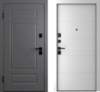 Входная дверь Belwooddoors Модель 9 210x100 Black левая (графит/Arvika эмаль белый) - 