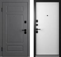 Входная дверь Belwooddoors Модель 9 210x100 Black левая (графит/Avesta эмаль белый) - 