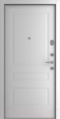 Входная дверь Belwooddoors Модель 10 210x100 правая (графит/роялти эмаль белый)