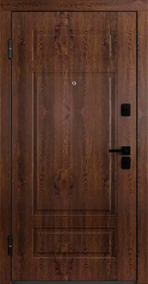 Входная дверь Belwooddoors Модель 9 210x100 Black левая (орех/Avesta эмаль белый)