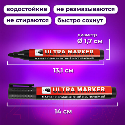 Набор маркеров Brauberg Ultra Marker / 880745 (12шт, черный)