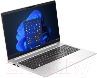 Ноутбук HP ProBook 450 G10 (725J4EA)