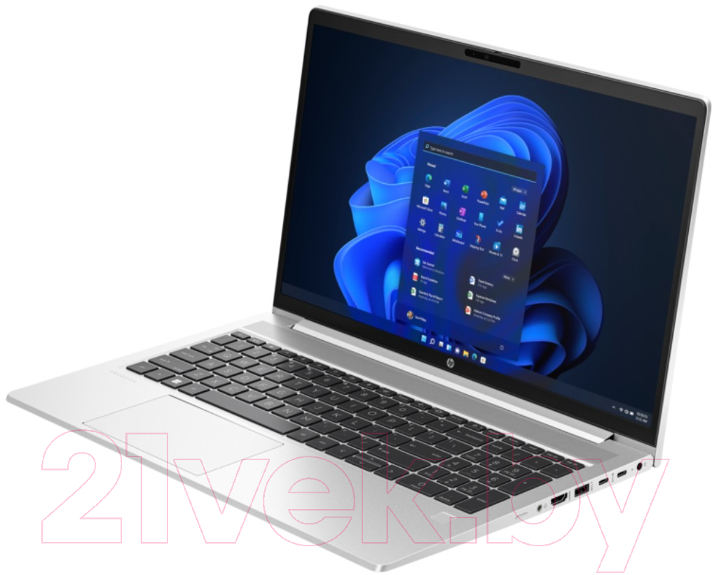 Ноутбук HP ProBook 450 G10 (725J4EA)