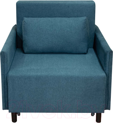 Кресло-кровать Домовой Визит-3 1 (80) (AR398-29)