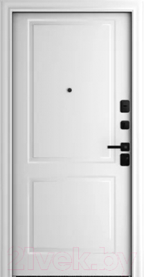 Входная дверь Belwooddoors Модель 8 210x100 Black правая (графит/Alta эмаль белый)