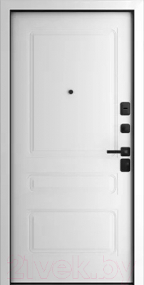 Входная дверь Belwooddoors Модель 8 210x100 Black правая (графит/роялти эмаль белый)