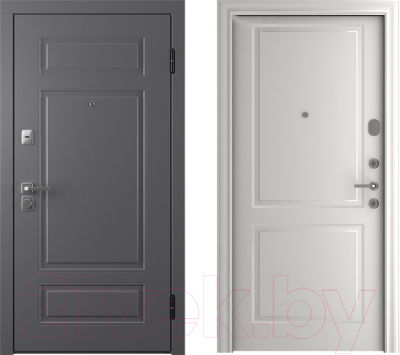 Входная дверь Belwooddoors Модель 9 210x100 правая (графит/Alta эмаль белый)