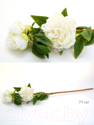 Искусственный цветок ForGarden Пион кремовый / BN10828