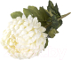 Искусственный цветок ForGarden Хризантема / BN10827 - 