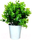 Миниатюра изображения товара Искусственное растение ForGarden Эвкалипт в белом горшке / BN10853