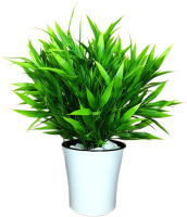 Искусственное растение ForGarden Бамбук новый в белом горшке / BN10852 - 