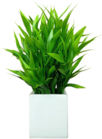Искусственное растение ForGarden Бамбук новый в квадратном керамическом горшке / BN10846 - 