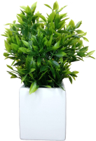 Искусственное растение ForGarden Бамбук в квадратном керамическом горшке / BN10844 - 