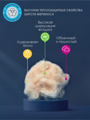 Одеяло ВАСИЛИСА О/369 140x205 / 298452