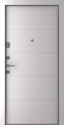 Входная дверь Belwooddoors Модель 8 210x90 левая (графит/Arvika эмаль белый)