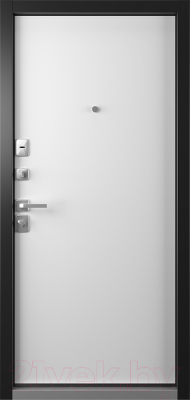 Входная дверь Belwooddoors Модель 9 210x90 левая (графит/Avesta эмаль белый)