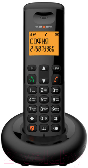 Беспроводной телефон Texet TX-D4905A