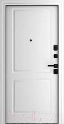 Входная дверь Belwooddoors Модель 10 210x90 Black правая (графит/Alta эмаль белый)