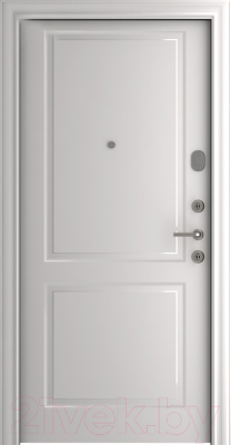 Входная дверь Belwooddoors Модель 8 210x90 правая (графит/Alta эмаль белый)