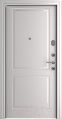 Входная дверь Belwooddoors Модель 9 210x90 правая (графит/Alta эмаль белый)