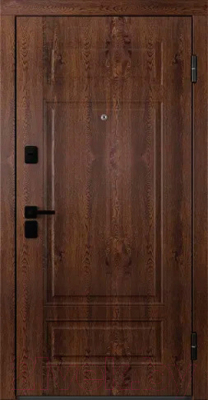 Входная дверь Belwooddoors Модель 9 210x100 Black правая (орех/Arvika эмаль белый)