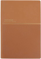 Ежедневник Darvish DV-14813B (96л, светло-коричневый) - 