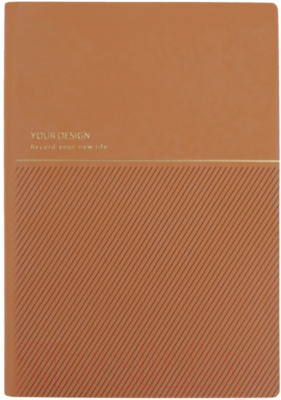 Ежедневник Darvish DV-14813B (96л, светло-коричневый)