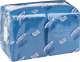 Бумажные салфетки Luscan Profi Pack / 476881 (400шт, синий) - 