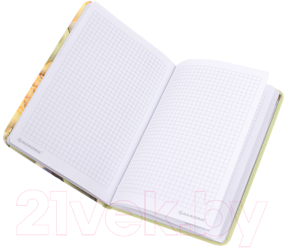 Записная книжка Darvish Зайка с подсолнухом / DV-14845F (80л)